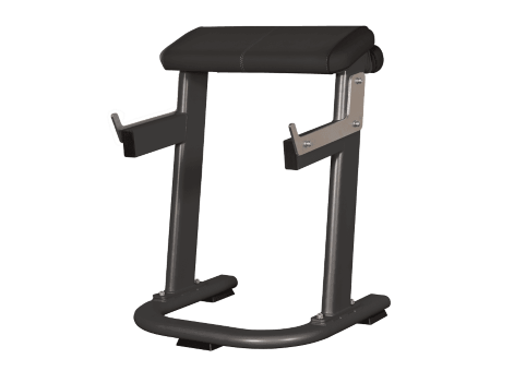 Подставка для сгибания рук стоя (скамья Скотта) AFB142 Spirit Fitness Подставка для сгибания рук стоя (скамья Скотта) AFB142 Spirit Fitness